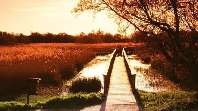 Las Tablas de Daimiel, en Castilla-La Mancha