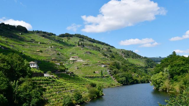 Reserva de la Biosfera de Ribeira Sacra