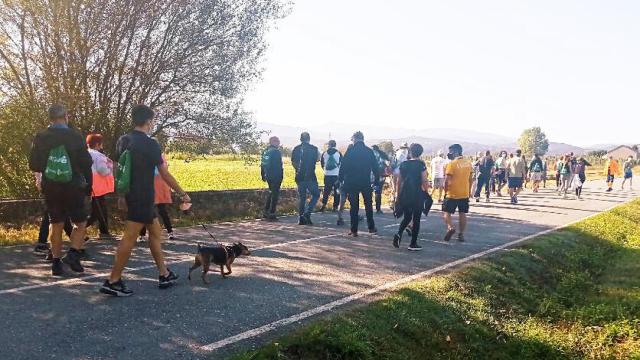Rutas movilidad el bierzo ponferrada