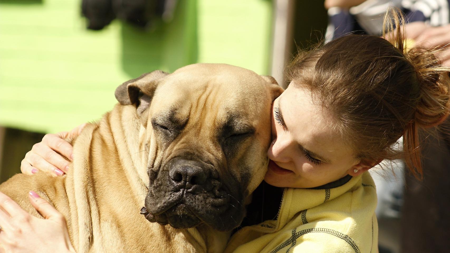 ¿Un perro puede tener dos dueños?