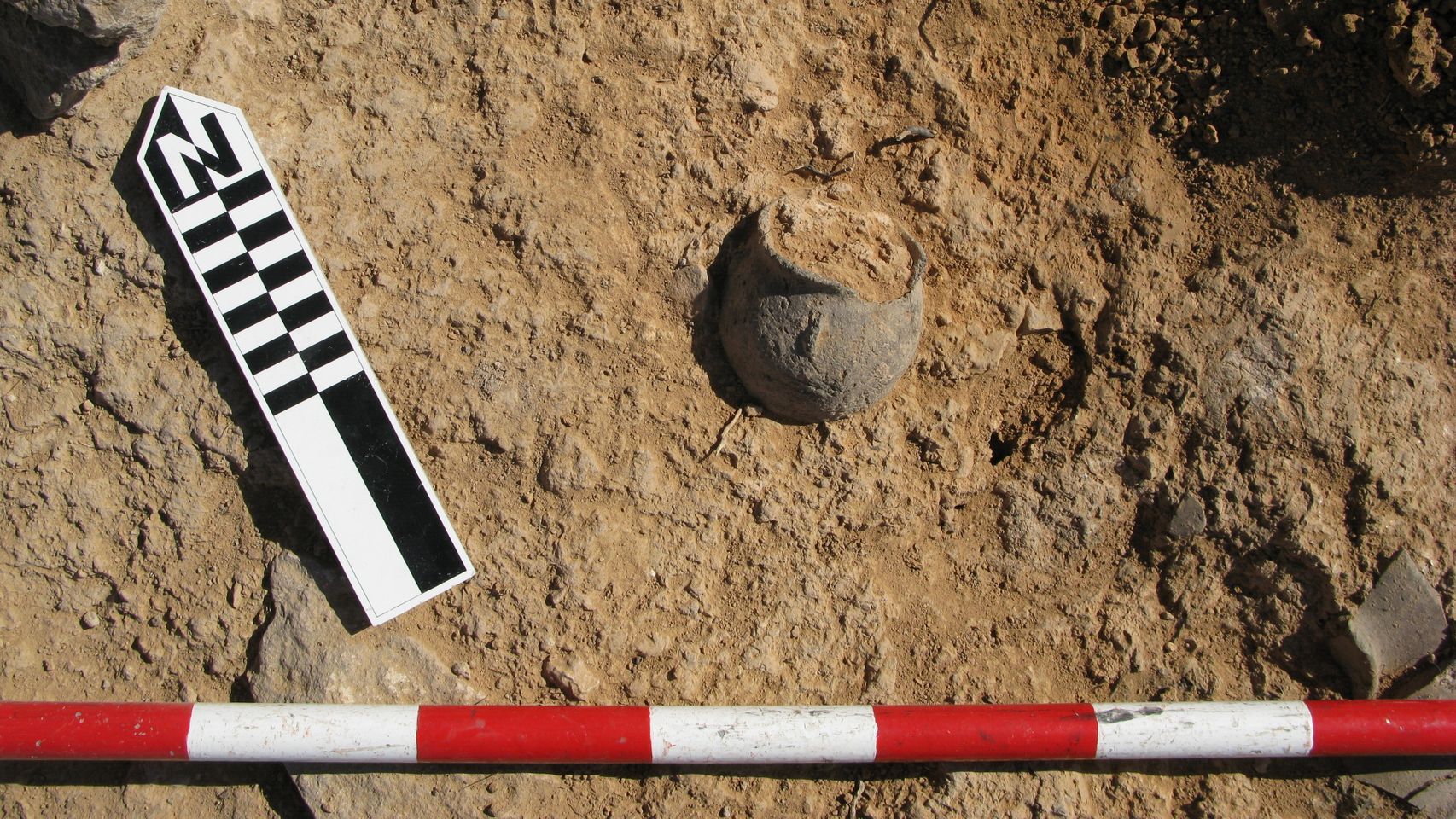 La excavación de la UA en Hellín ha encontrado un gran almacén en el yacimiento donde trabajan.