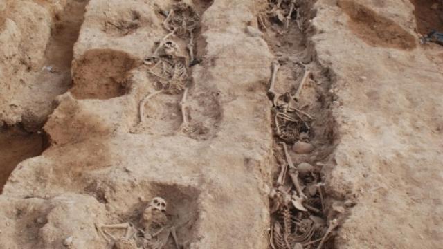 Imagen de la fosa catalana de Solaràs, donde ha sido encontrado el soldado alicantino.