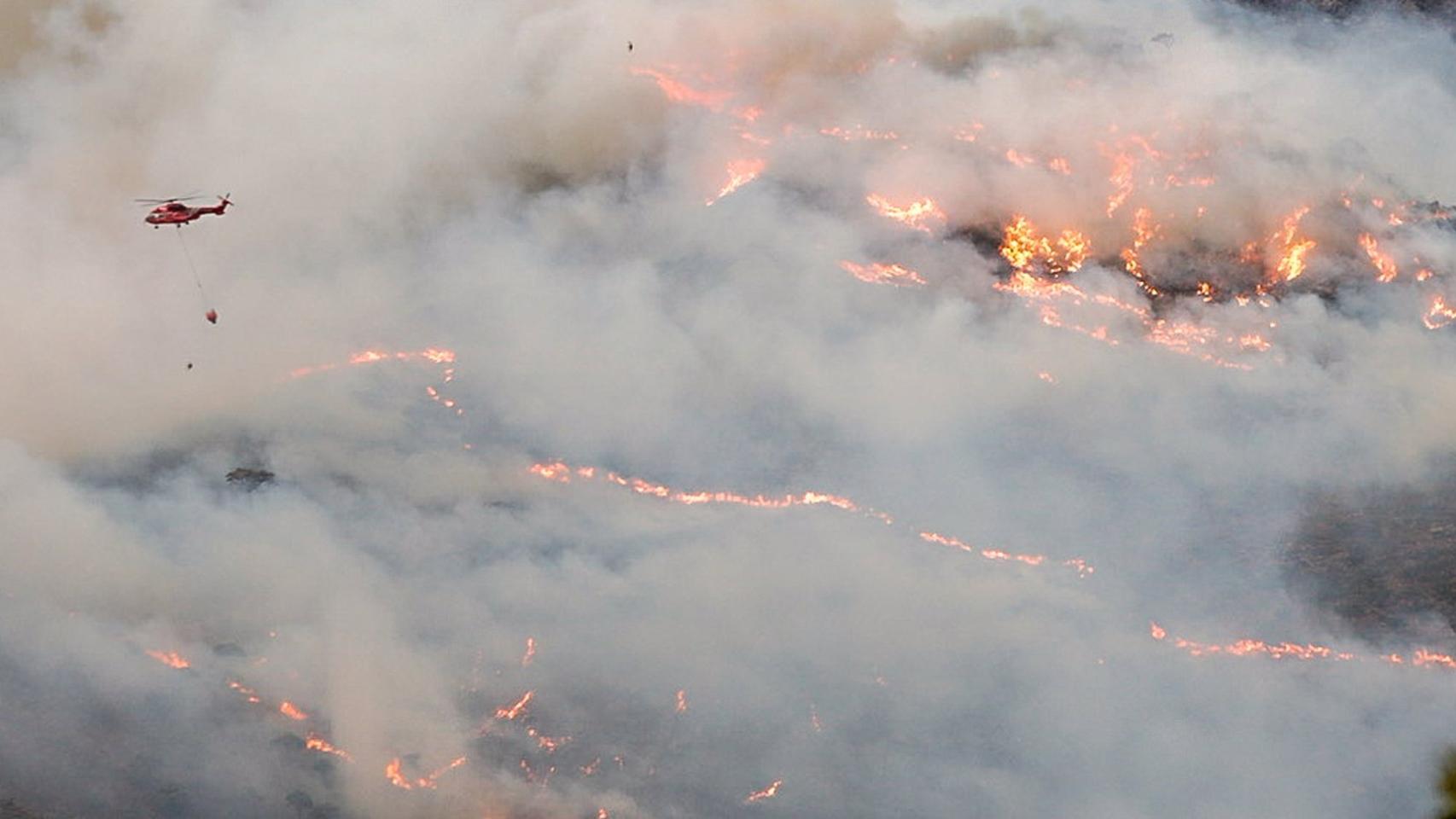 La Fiscalía presenta una denuncia por el incendio de Sierra Bermeja