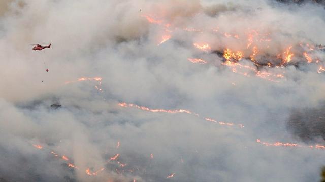 La Fiscalía presenta una denuncia por el incendio de Sierra Bermeja