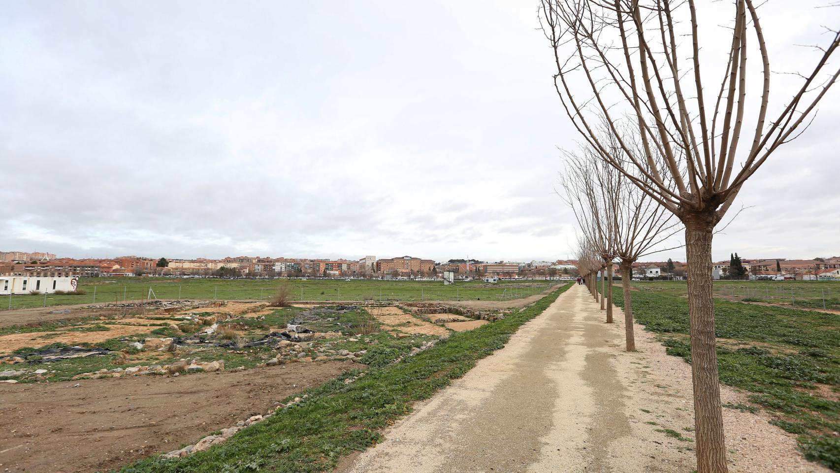 La Vega Baja de Toledo.