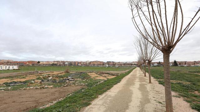 La Vega Baja de Toledo.