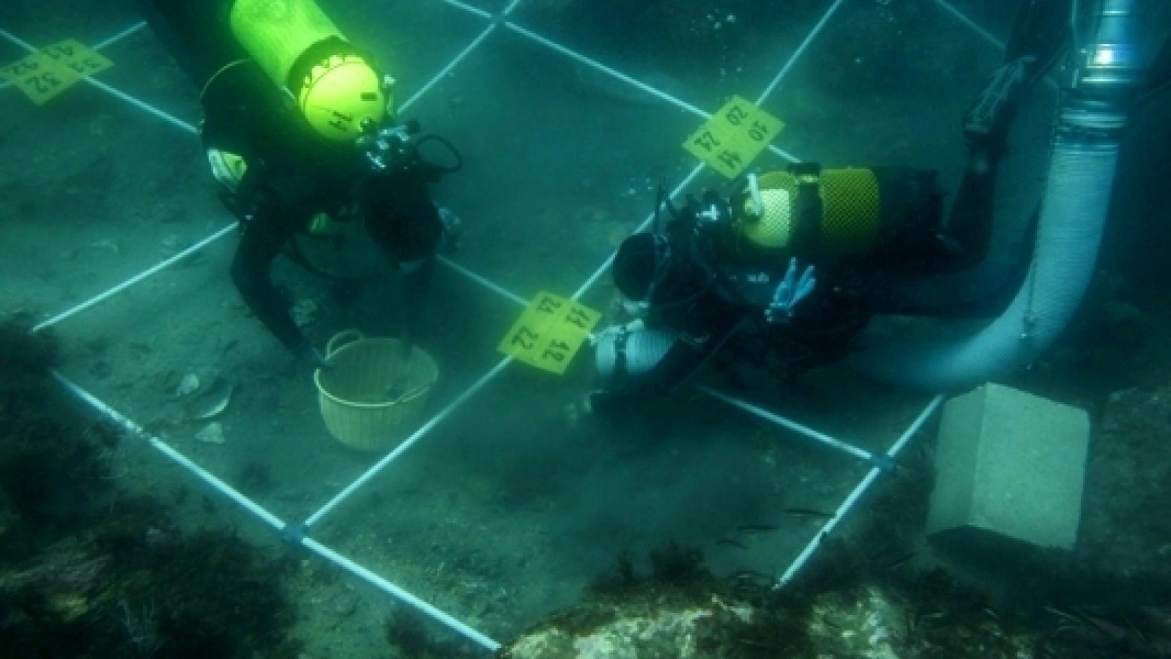 Turismo submarino