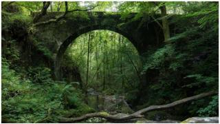 Puente de piedra sobre el río Sesín.