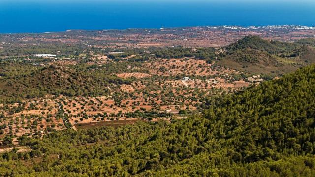 Viaje por España en busca del oro líquido