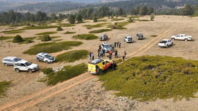 Operativo de búsqueda