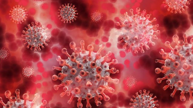 El Comav señala la capacidad de los extractos de cúrcuma y mostaza para impedir la capacidad reproductiva del virus.