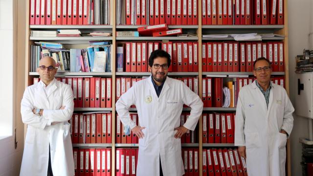 Investigadores de Castilla y León descubren que nuevas moléculas permiten tratar la insuficiencia cardíaca y la hipertensión refractaria sin elevar los niveles de potasio