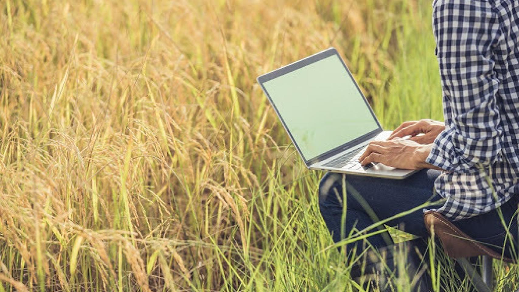 Internet rural