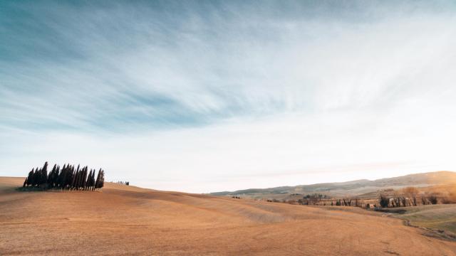 I Observatorio: La labor social de los servicios funerarios
