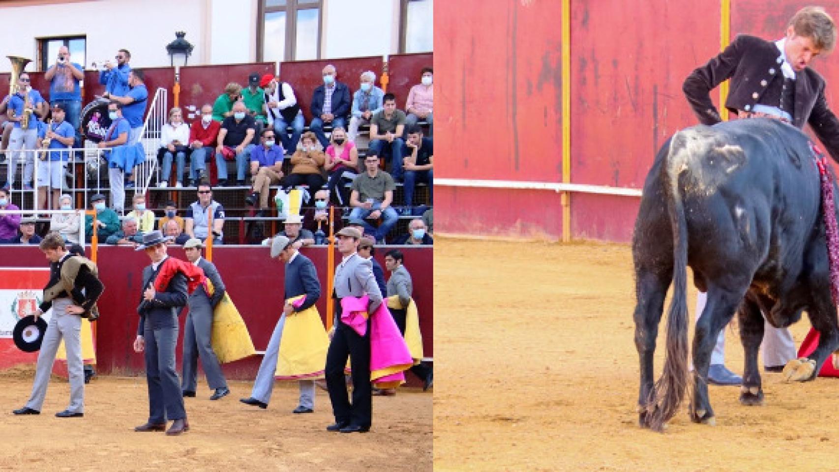Festival taurino de Mayorga
