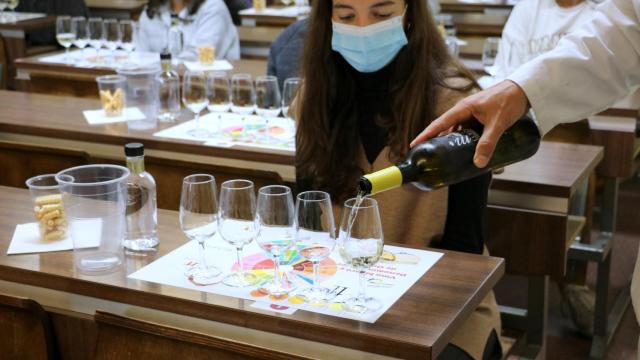 Cata de vinos de alumnos de la ULE