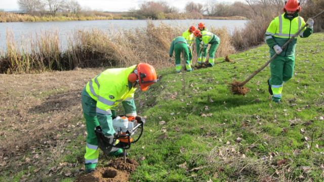 Trabajadores del Plan Forestal de la Diputación