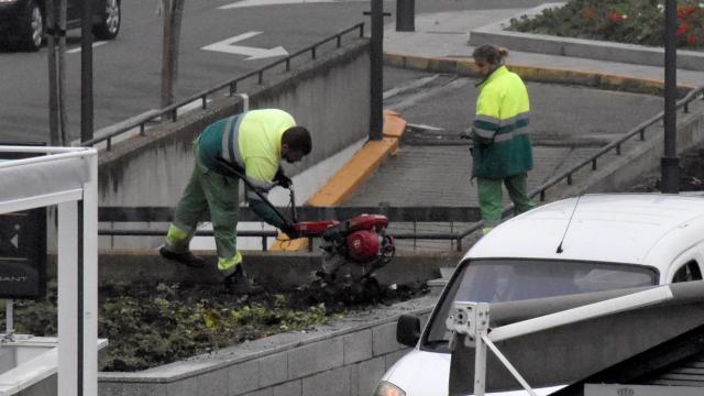 Trabajadores del Servicio de Parques y Jardines de Zamora