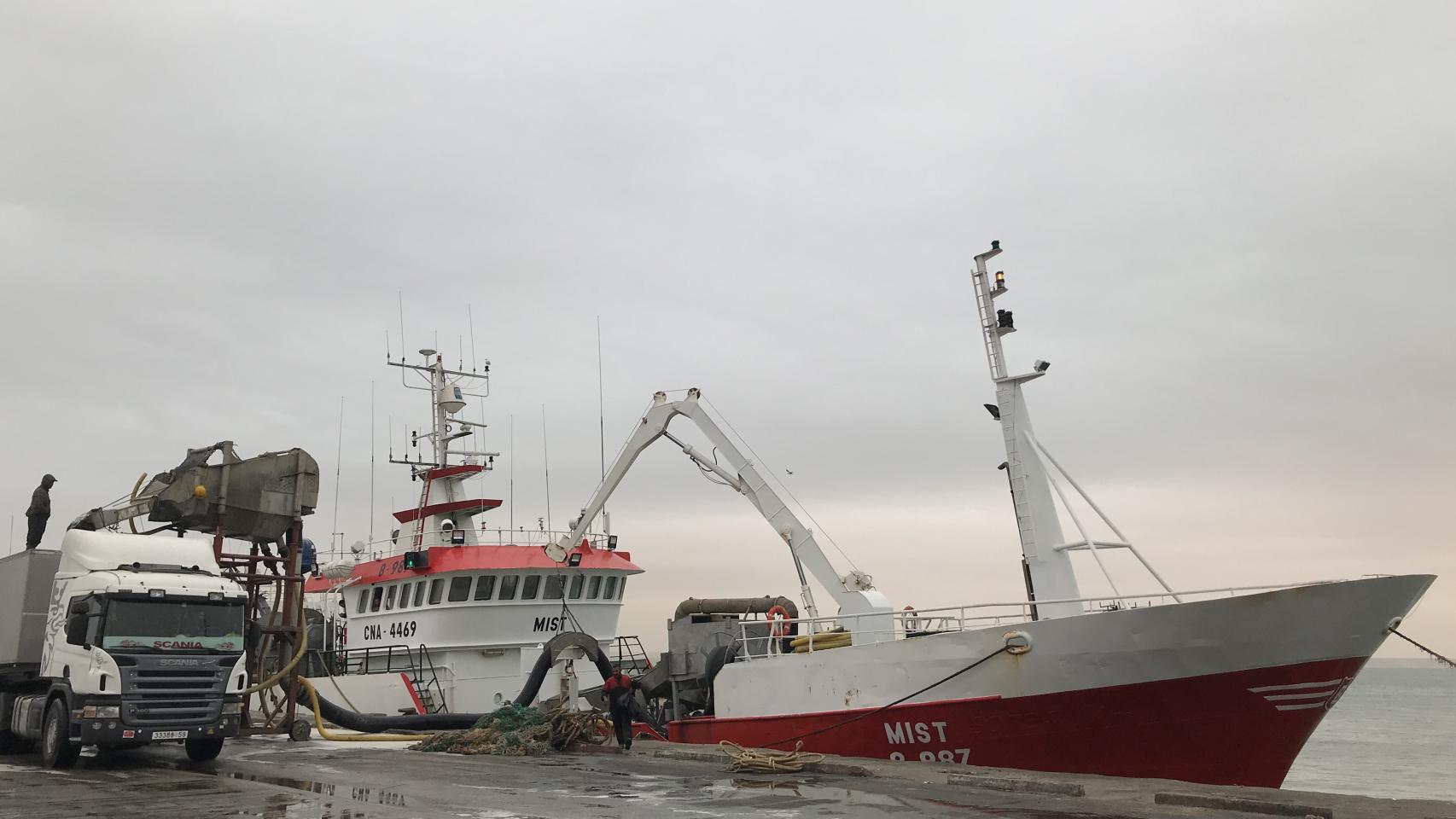 Descarga pesquero Puerto de Dakhla.
