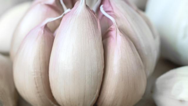 Tratamiento de ajo para combatir las várices y las arañitas.