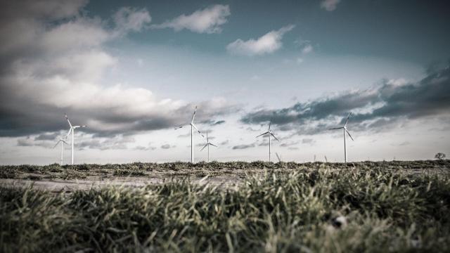 Educación financiera y finanzas sostenibles