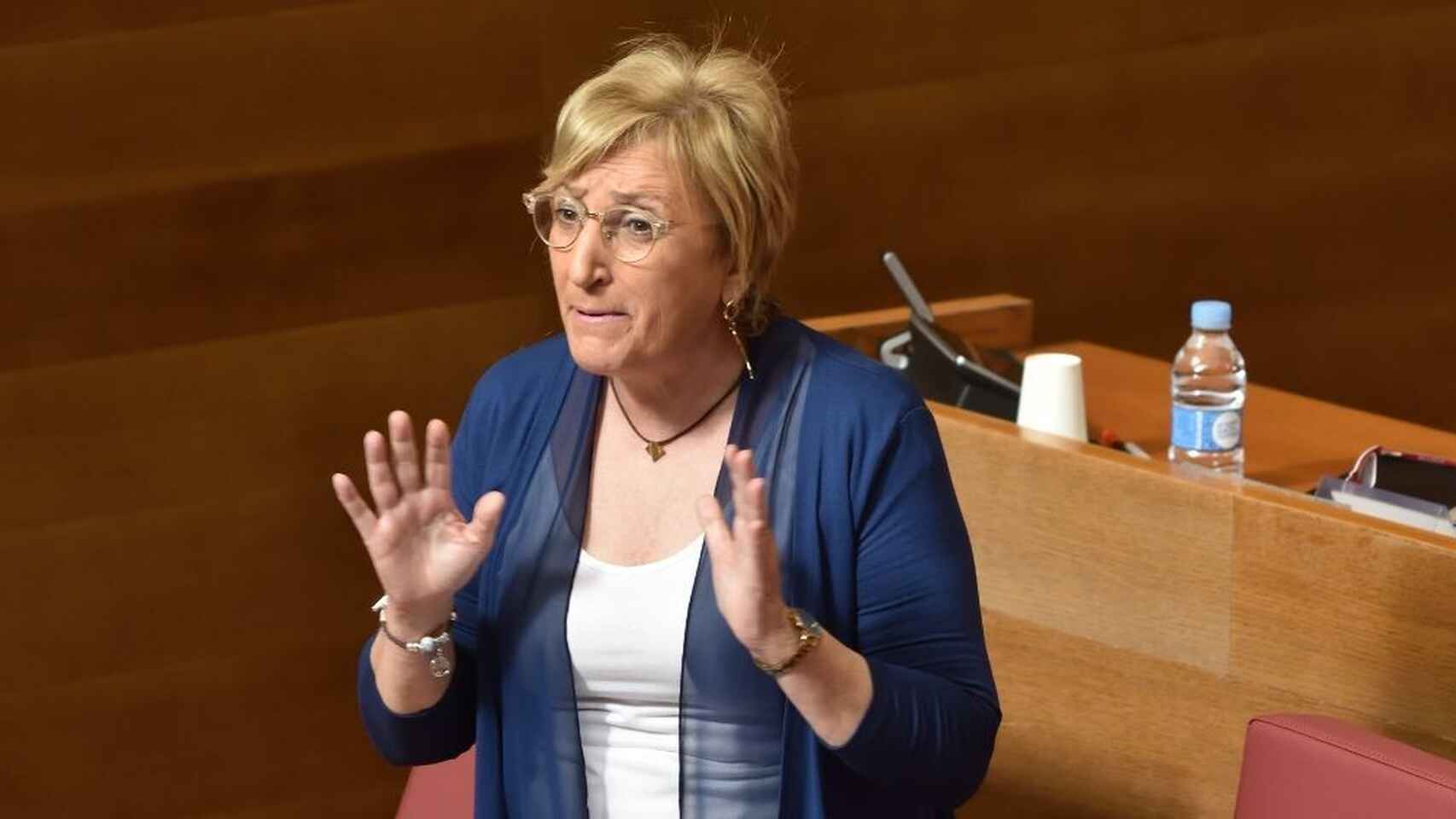 La consellera de Sanidad, Ana Barceló, en Les Corts.