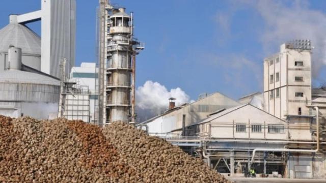 Recogida de remolacha