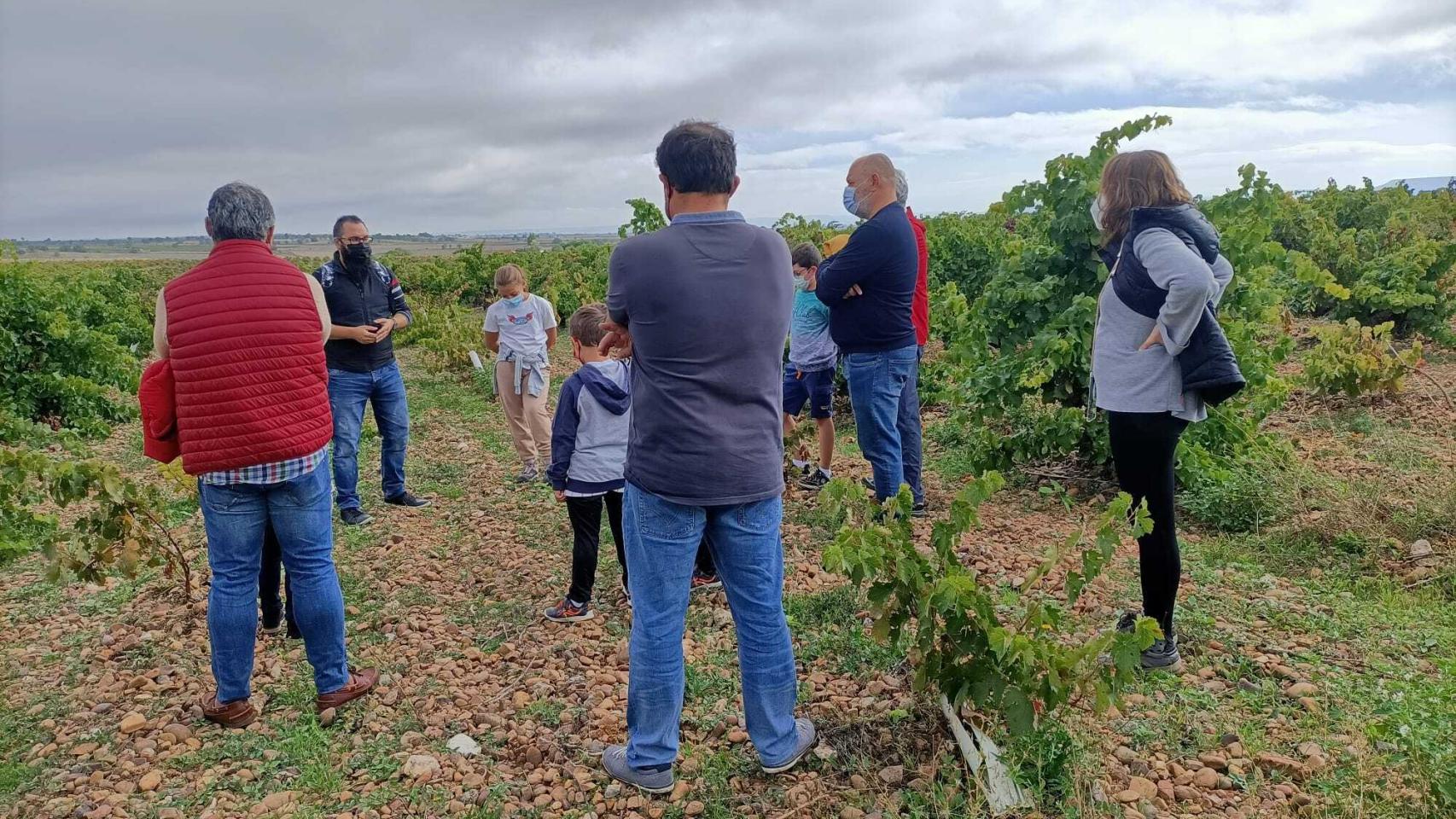 Vendimia en familia en Cigales