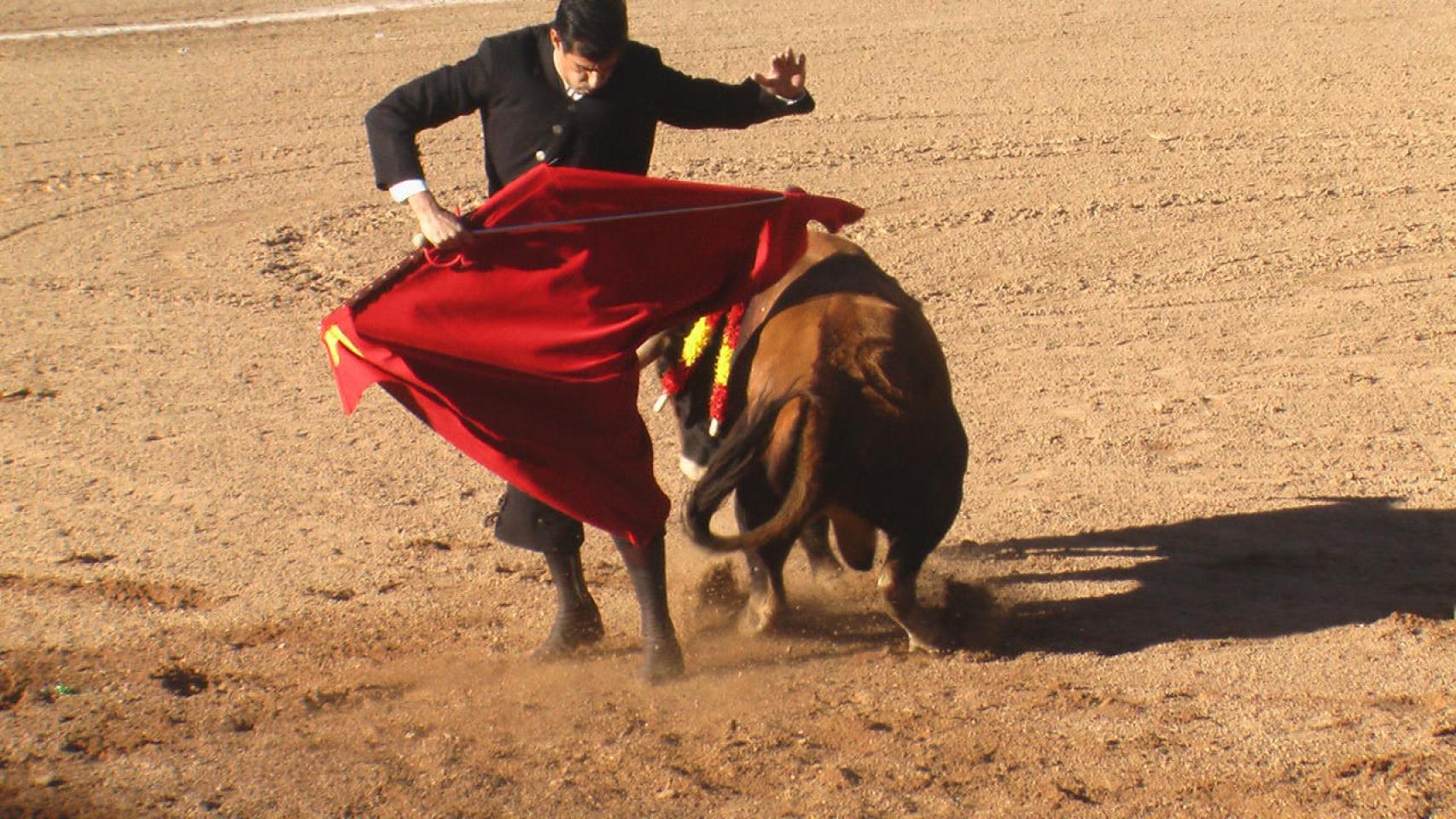 Fotogalería | Feria taurina en Mojados
