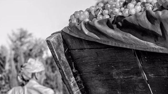 Imagen de Natalia Roncero ganadora de 'Mi rincón favorito de Tomelloso'