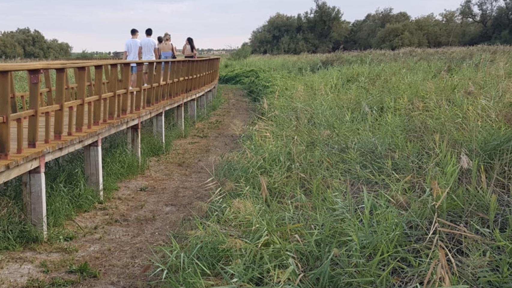 Tablas de Daimiel (Ciudad Real). Foto: Web oficial del Parque Nacional