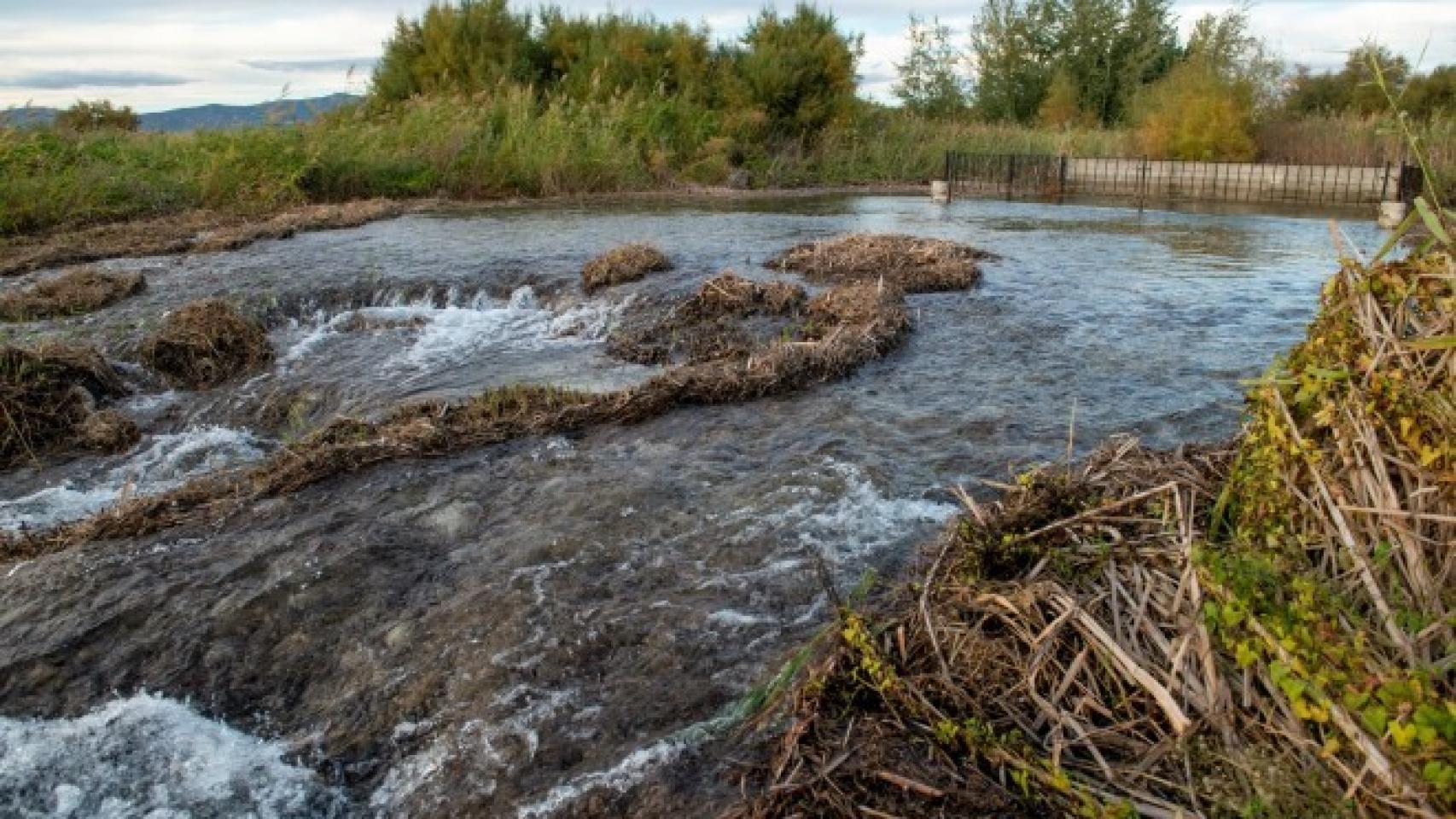 Parque Nacional de Las Tablas de Daimiel.