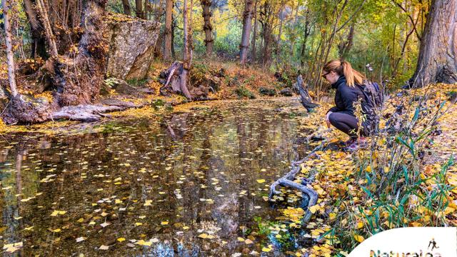 Hoz de Pelegrina (Guadalajara). Foto: ©Turismo Castilla-La Mancha / David Blázquez