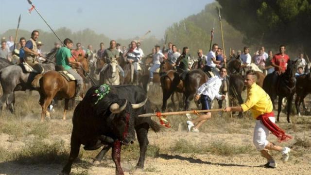 Una de las ediciones anteriores del Toro de la Vega