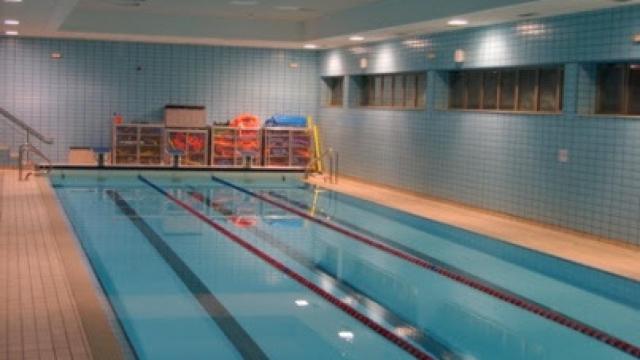 Piscina climatizada La Palomera