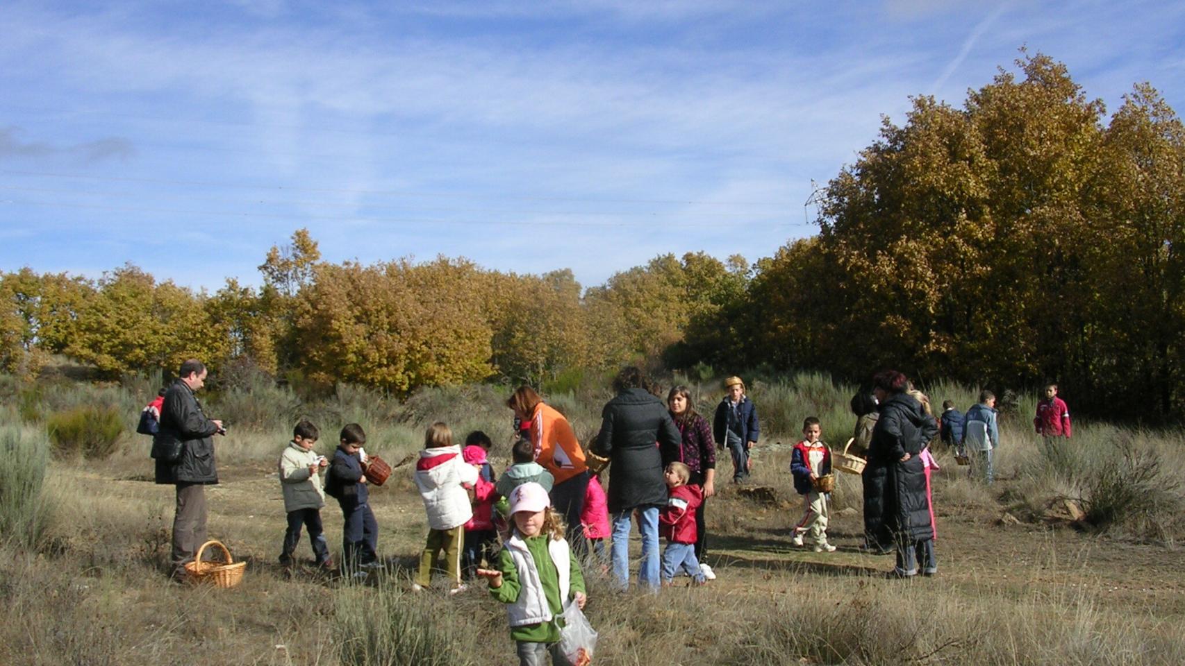Participación infantil en las jornadas de educación ambiental