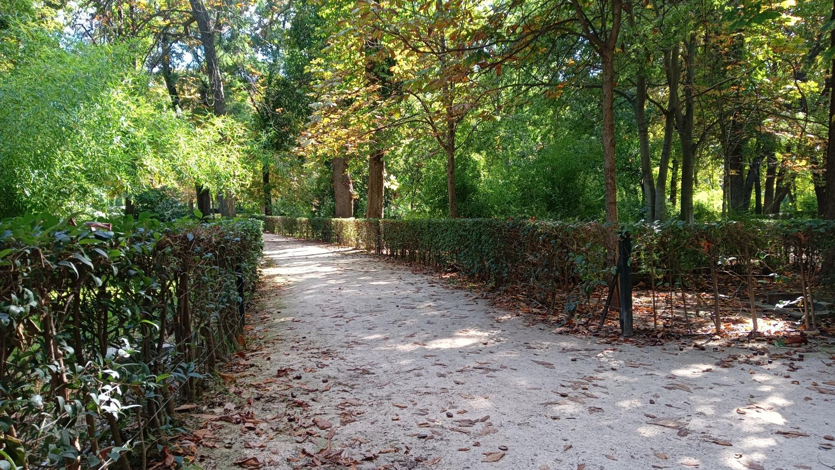 Fotografía HDR del Realme 8i