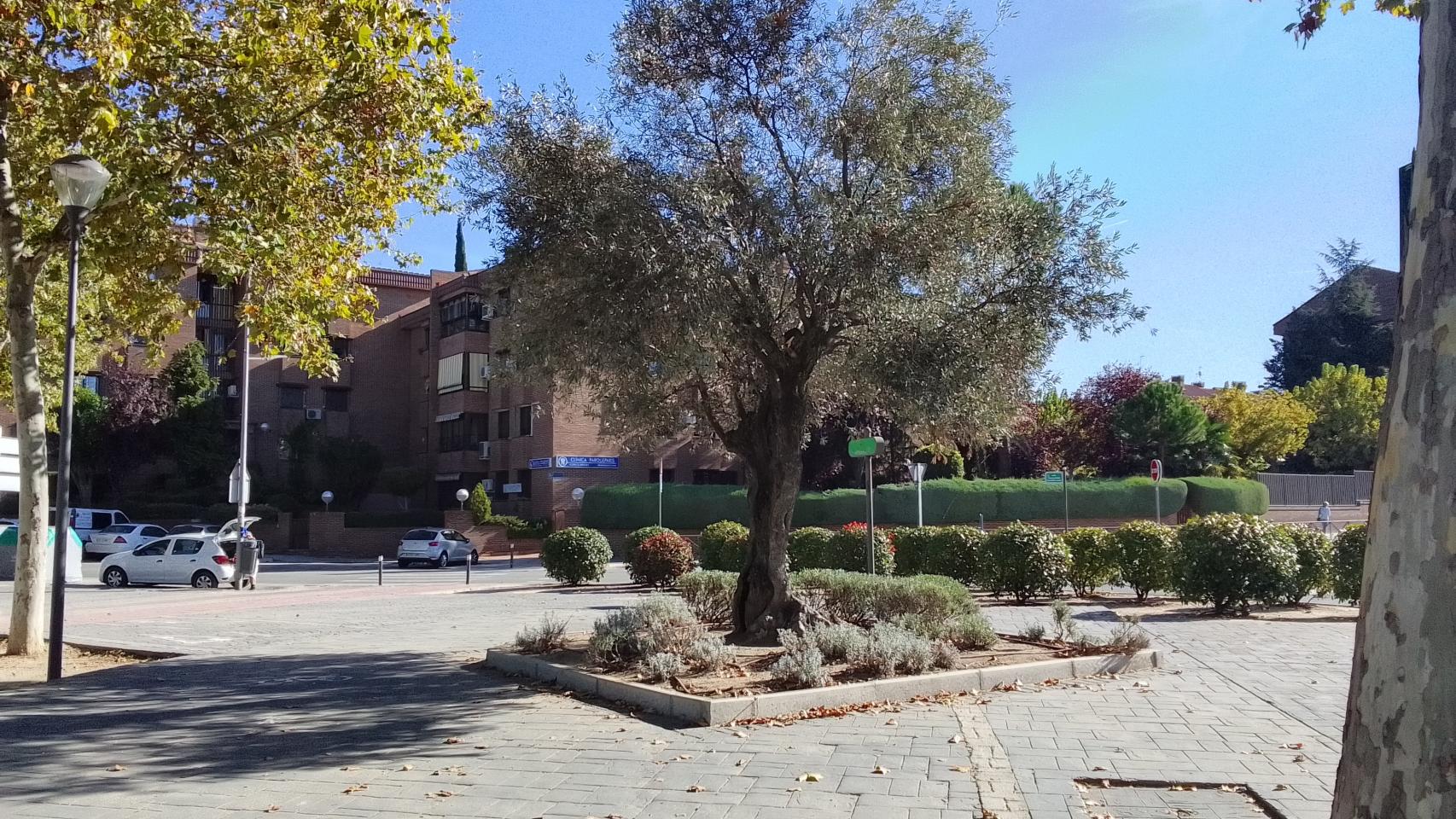 Fotografía HDR del Realme C11 de 2021