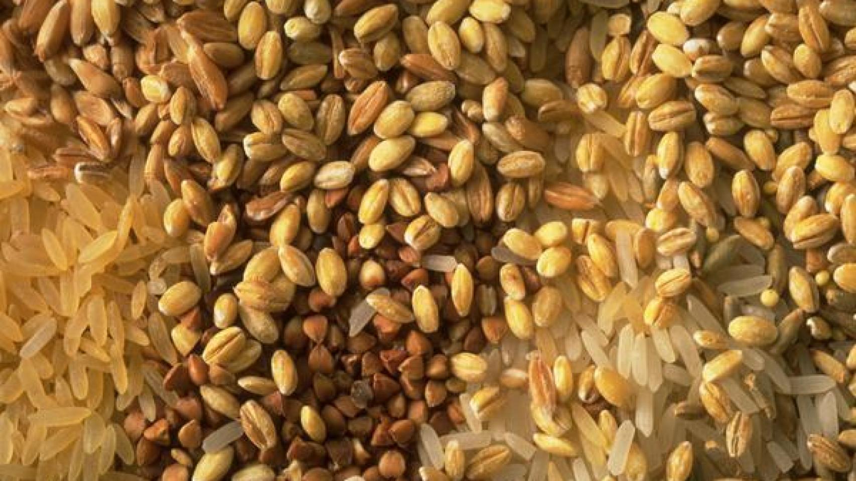 Grano integral.