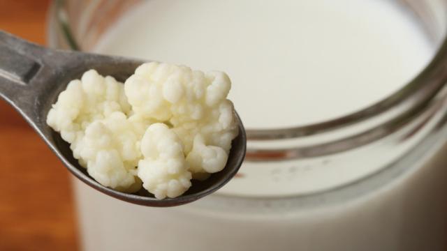 Una cucharada de granos de kéfir frente a un vaso con leche fermentada.