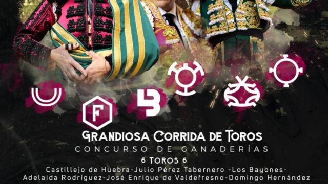 Alba de Tormes acoge una corrida concurso de ganaderías