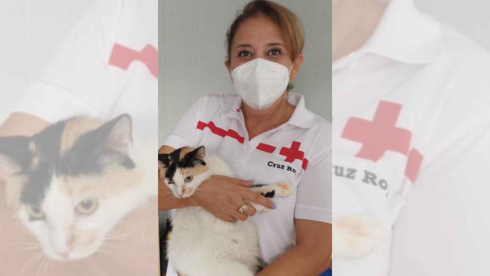 La gata de nombre Mina ha viajado con su familia en una patera hasta Alicante.