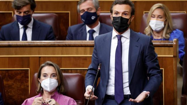 El líder del PP, Pablo Casado.