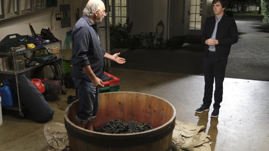 Freddie Highmore y Richard Schiff, una relación paterno filial en la ficción.