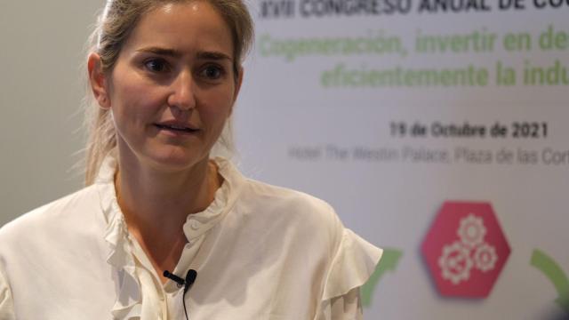 El Gobierno pone fecha a las subastas de cogeneración: se convocarán en el plazo de 2 o 4 semanas