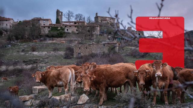 Montaje del logo del partido España Vaciada, en un área poco poblada.