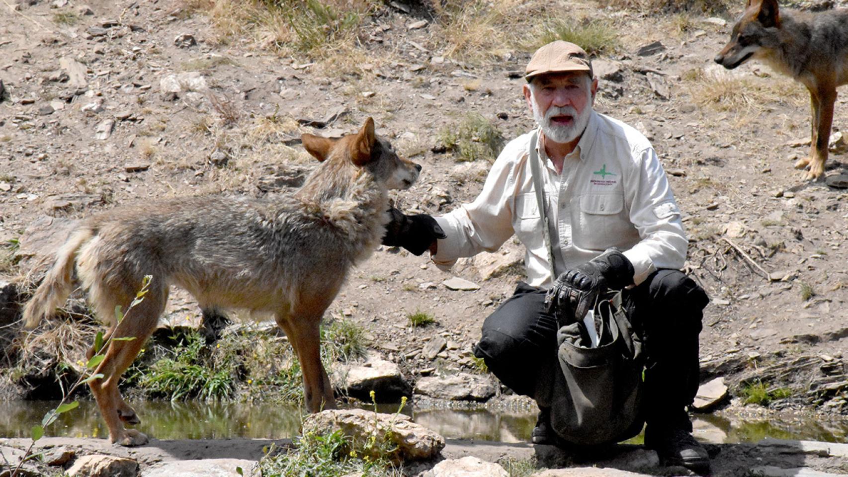 Carlos Sanz en el Centro del Lobo Ibérico de Castilla y León