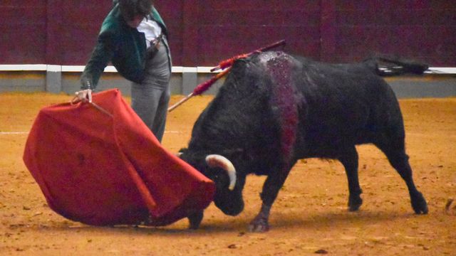 Imágenes de la 'Clase Magistral' celebrada en la plaza de toros de Alba de Tormes