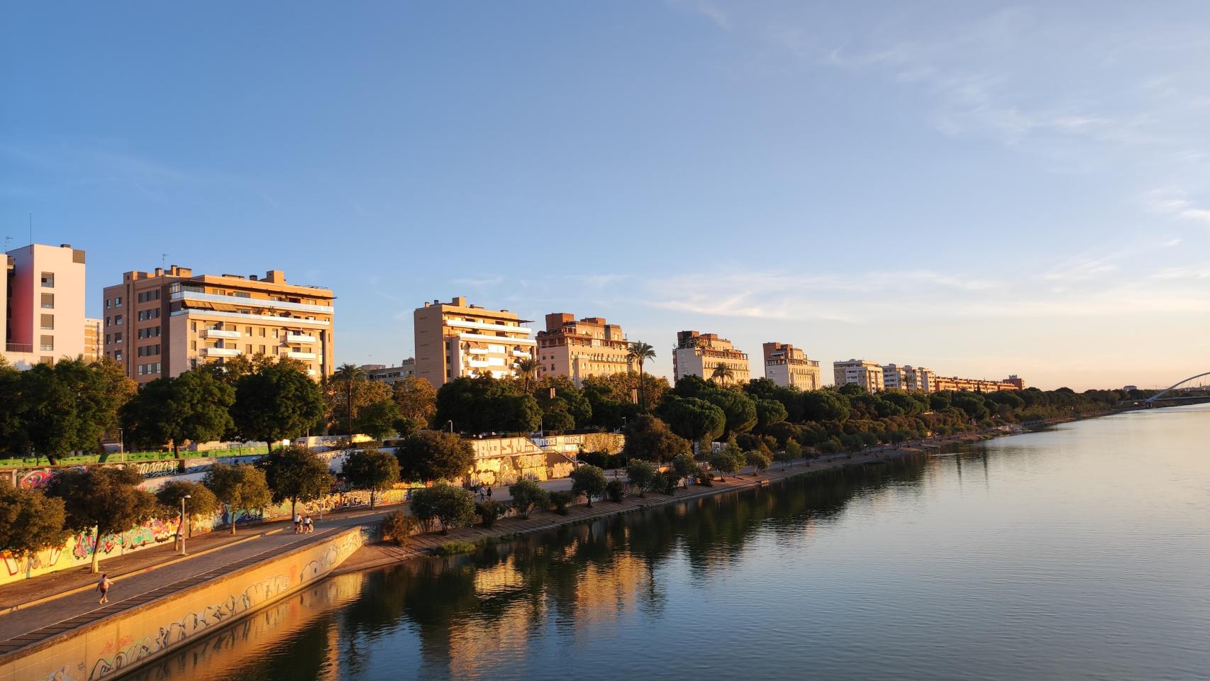 Xiaomi 11 Lite 5G NE