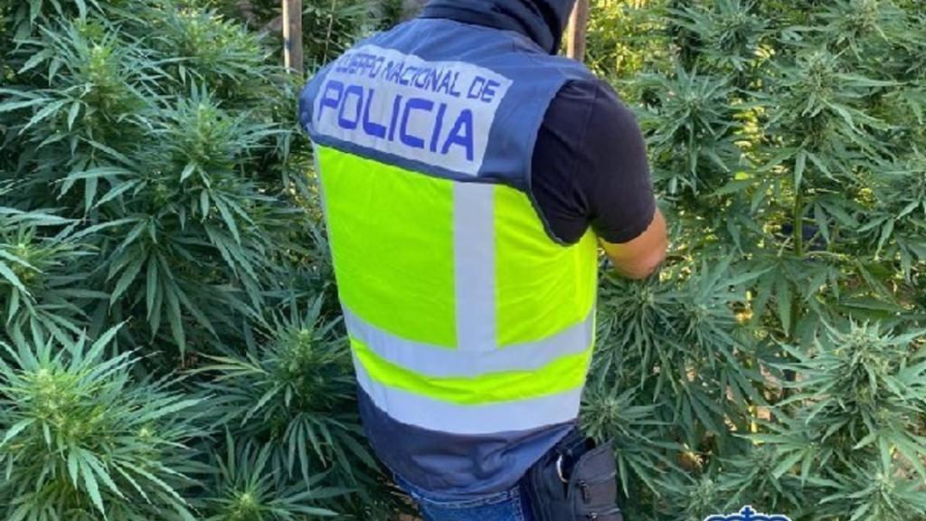 Imagen de archivo de la Policía en una operación.